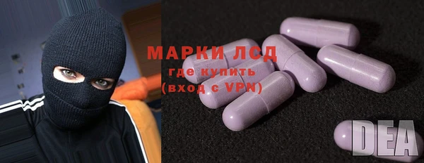 индика Аркадак