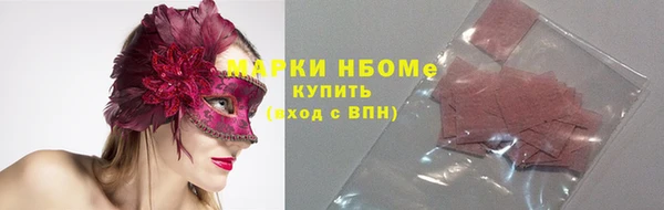 индика Аркадак
