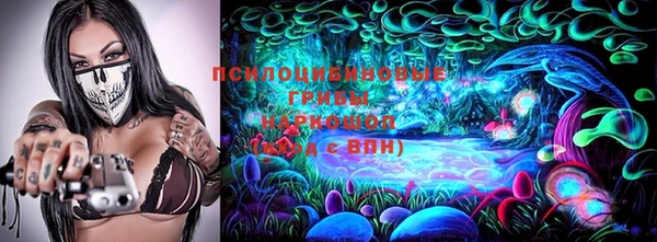 индика Аркадак