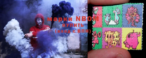 индика Аркадак