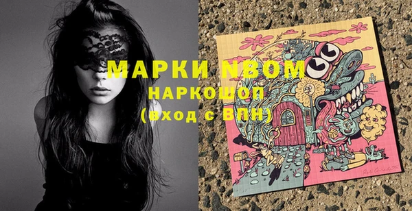 индика Аркадак