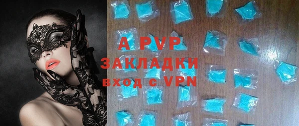 индика Аркадак