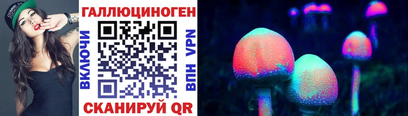 Псилоцибиновые грибы MAGIC MUSHROOMS  Купить где  Бологое 