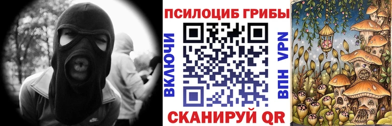 Галлюциногенные грибы Cubensis Бологое